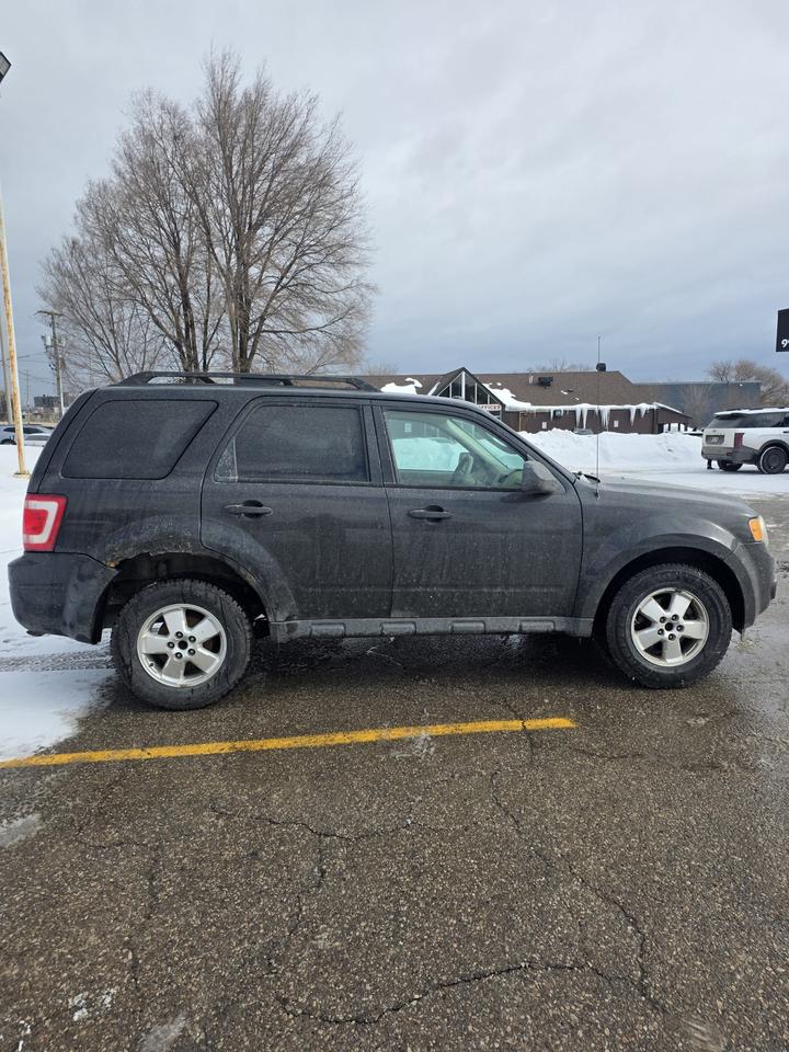 2012 Ford Escape FWD 4dr XLT Photo