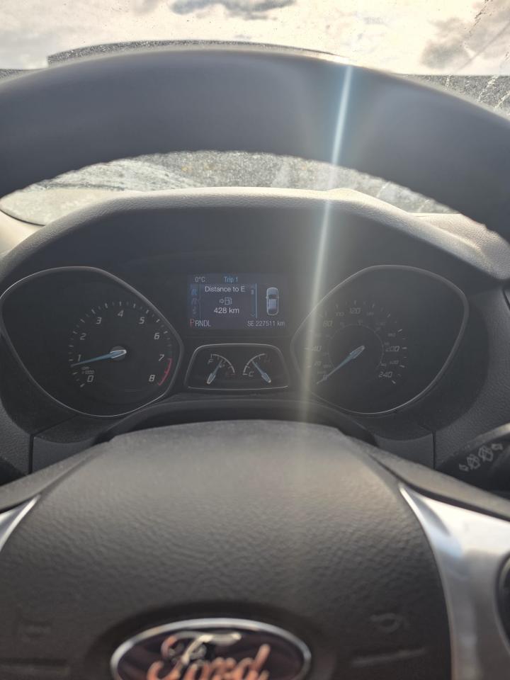 2014 Ford Focus SE Photo