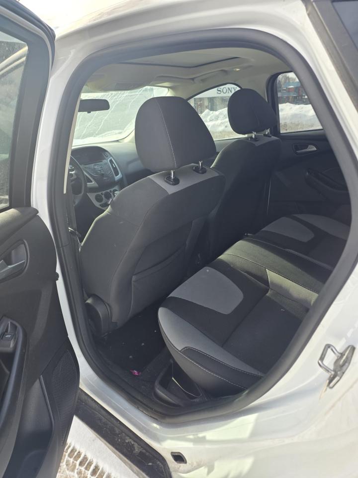 2014 Ford Focus SE Photo