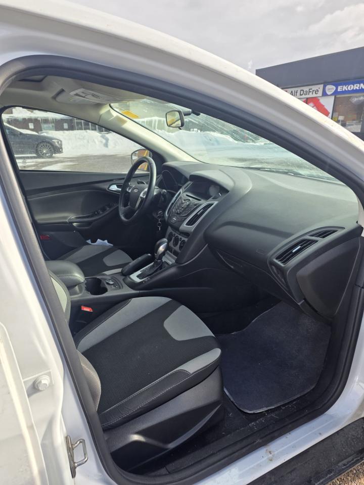 2014 Ford Focus SE Photo