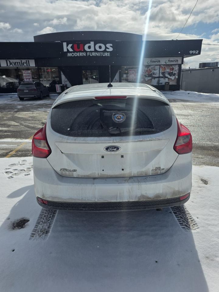 2014 Ford Focus SE Photo