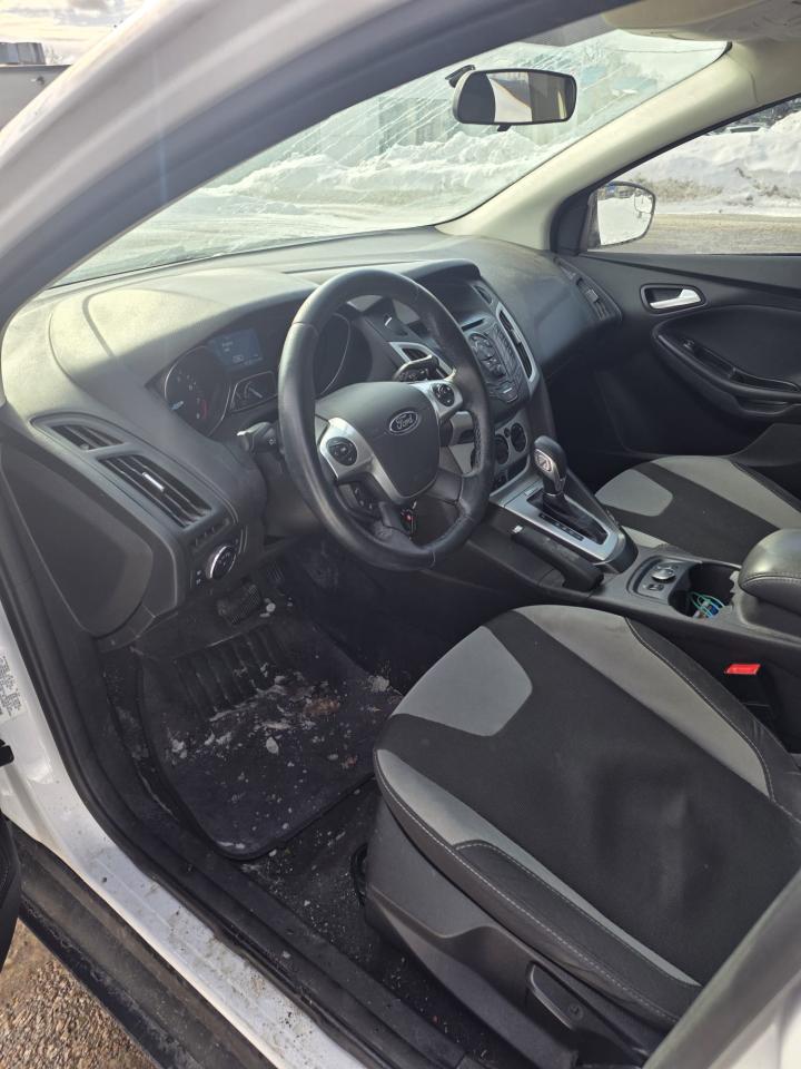 2014 Ford Focus SE Photo