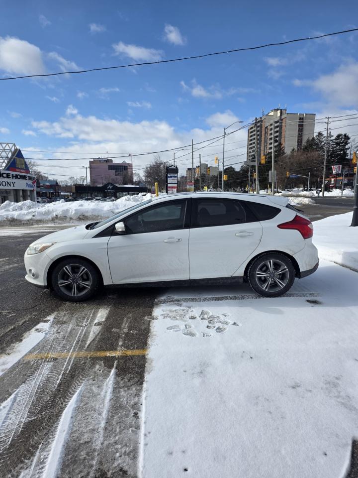 2014 Ford Focus SE Photo