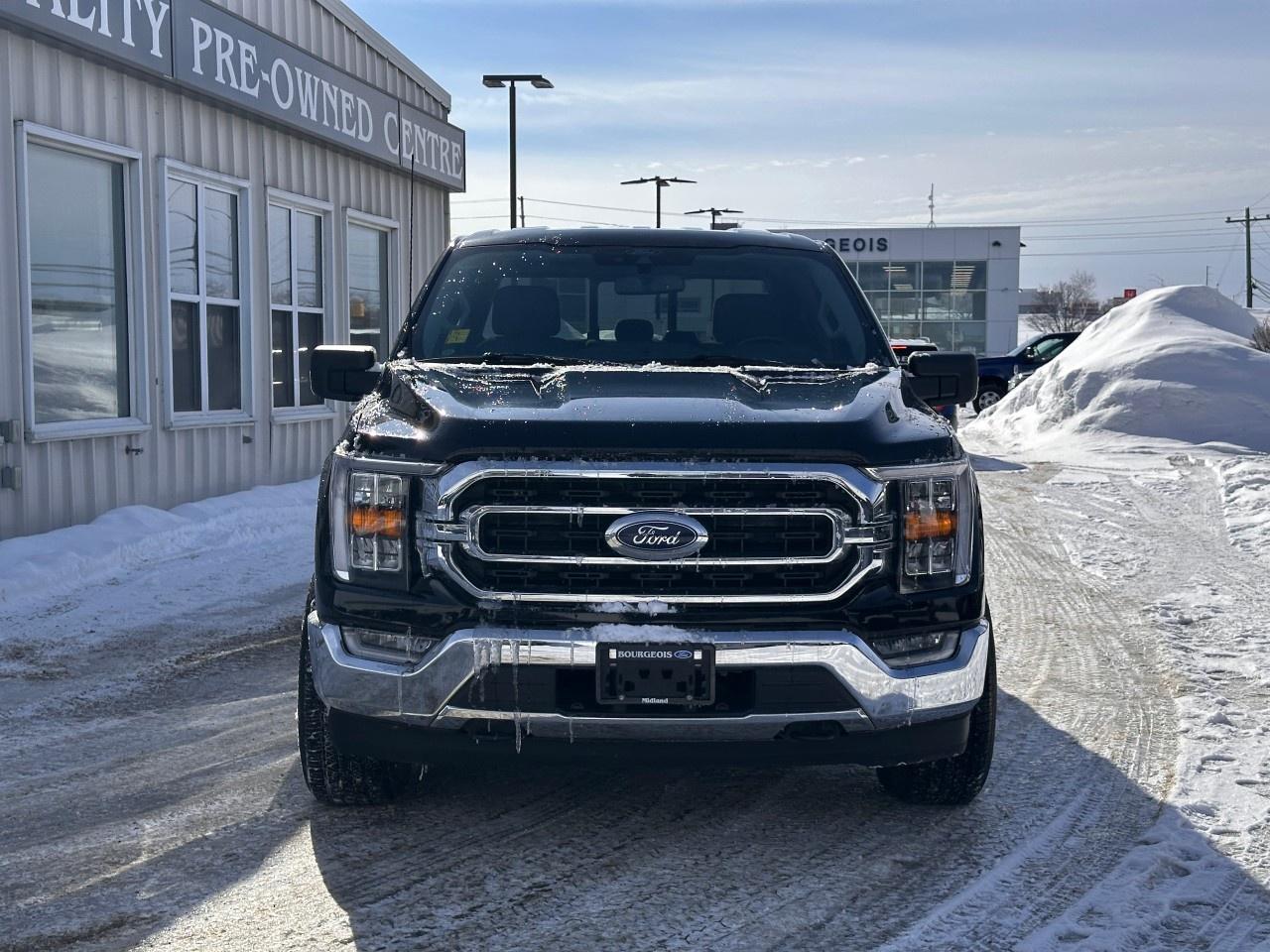2022 Ford F-150 XLT 4WD SuperCrew 5.5' Box Photo