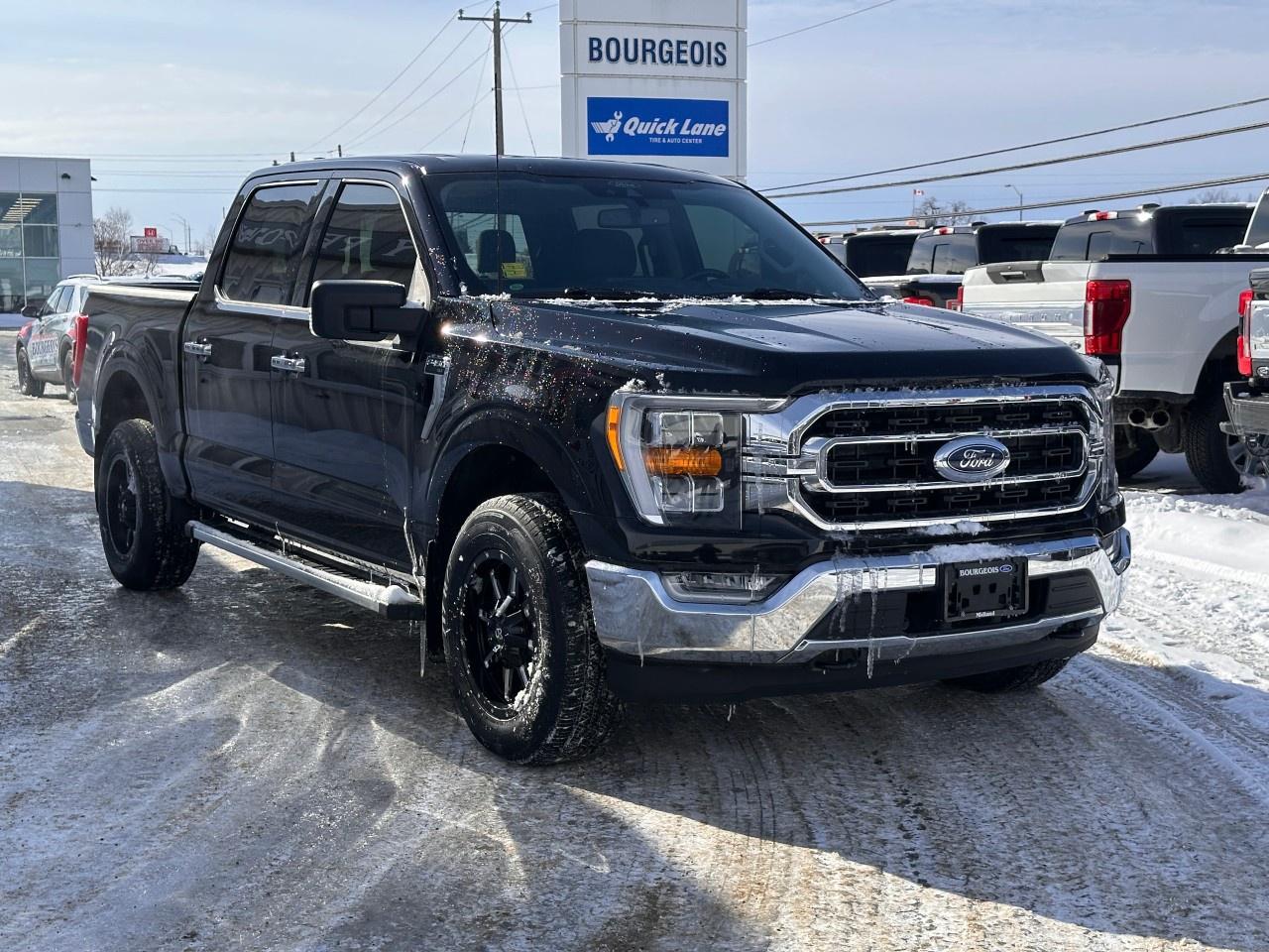 2022 Ford F-150 XLT 4WD SuperCrew 5.5' Box Photo