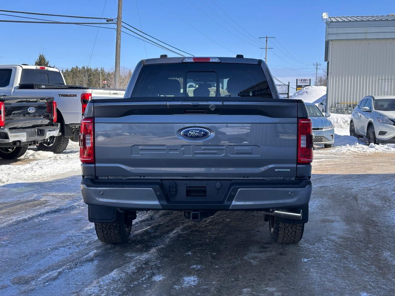 2023 Ford F-150 XLT 4WD SuperCrew 5.5' Box Photo