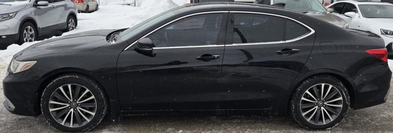 2018 Acura TLX SH-AWD TECH / NO ACCIDENTS / NAV / ROOF / LEATHER Photo