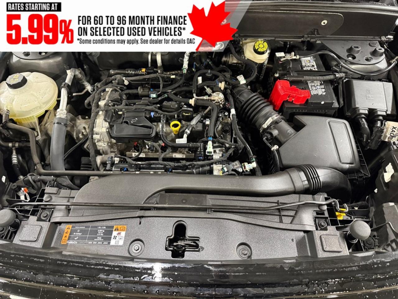 2023 Ford Bronco Sport Outer Banks 4x4 Photo