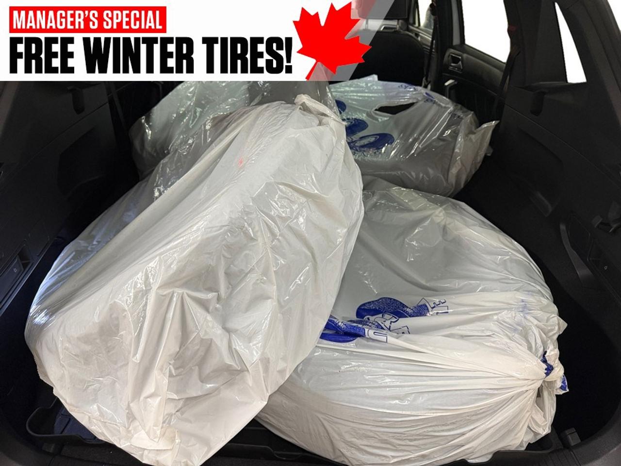 2022 Volkswagen Tiguan Comfortline R-Line Black Edition 4MOTION Photo