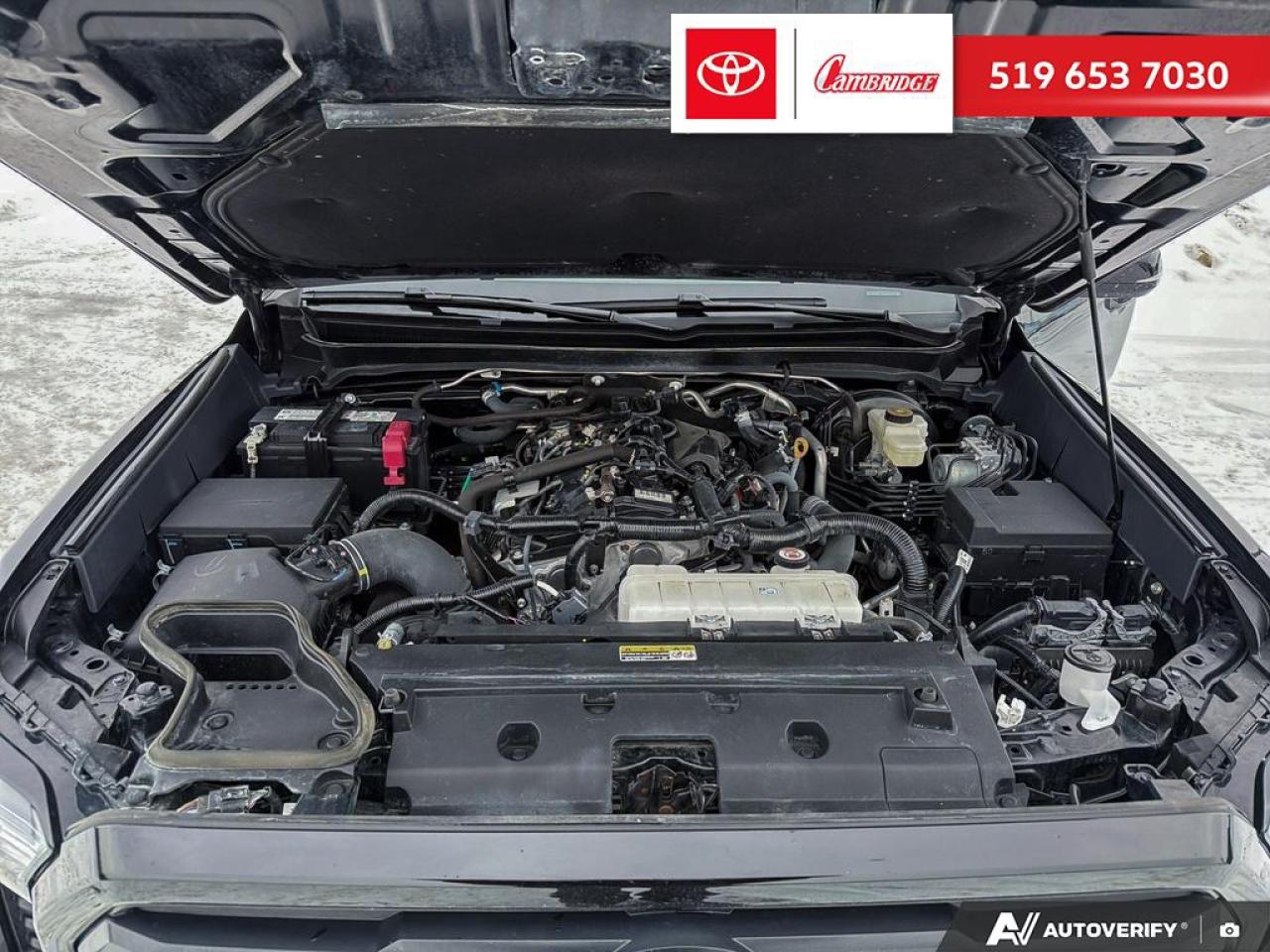 2024 Toyota Tacoma  Photo