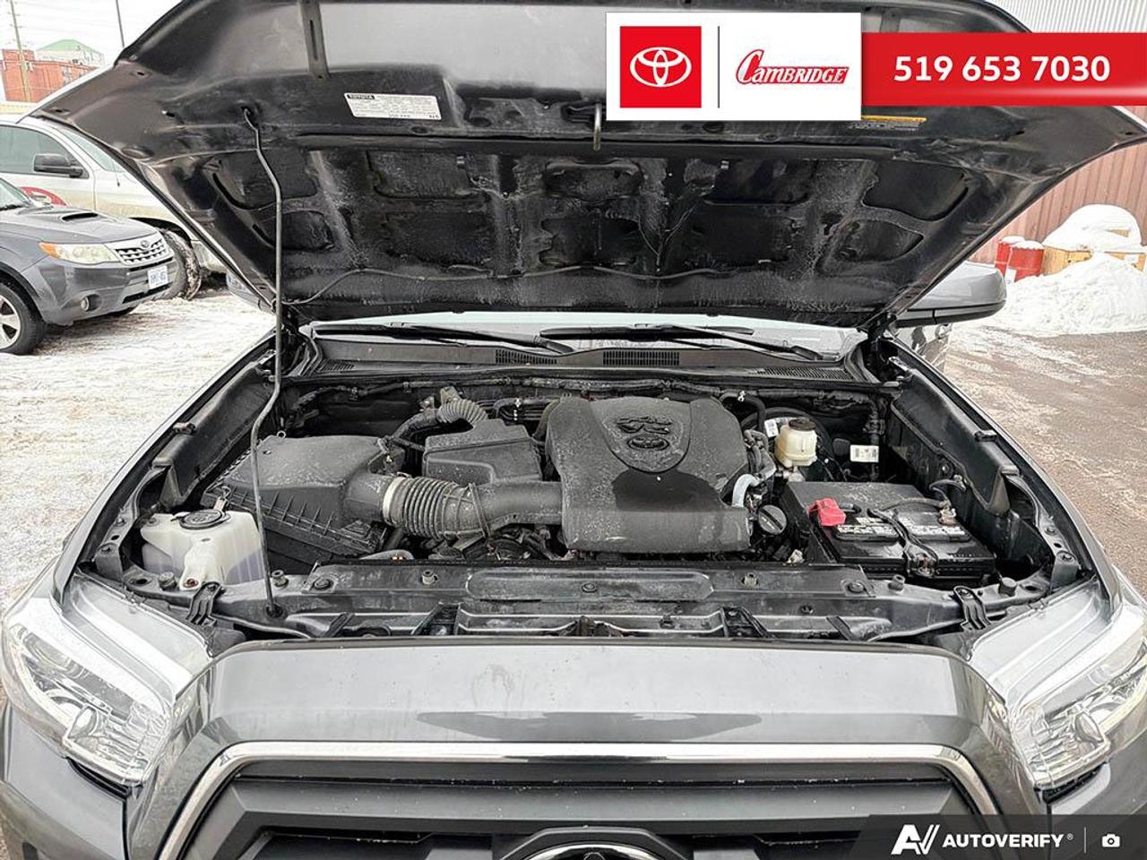 2022 Toyota Tacoma  Photo