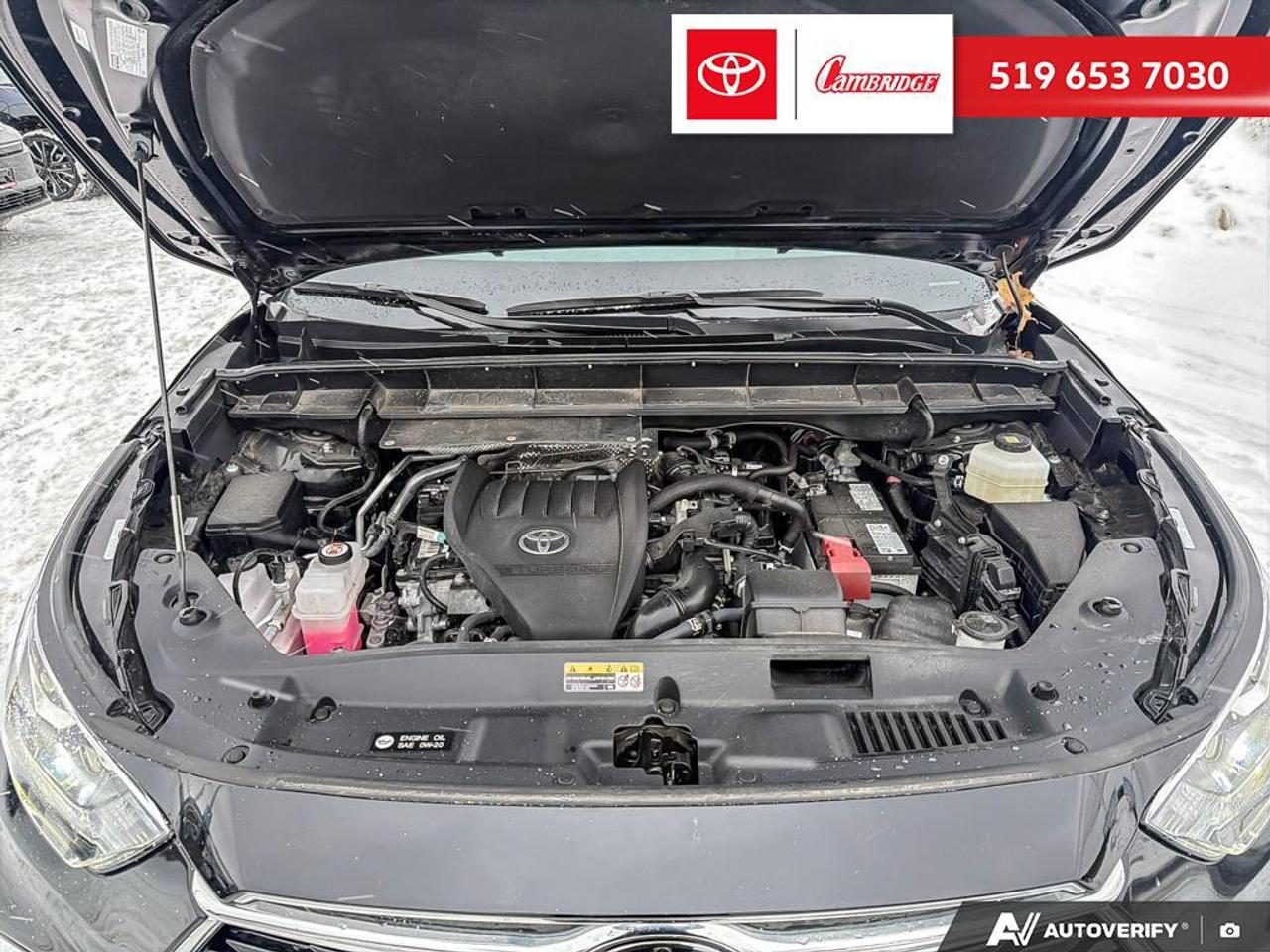 2024 Toyota Highlander LIMITED  Photo