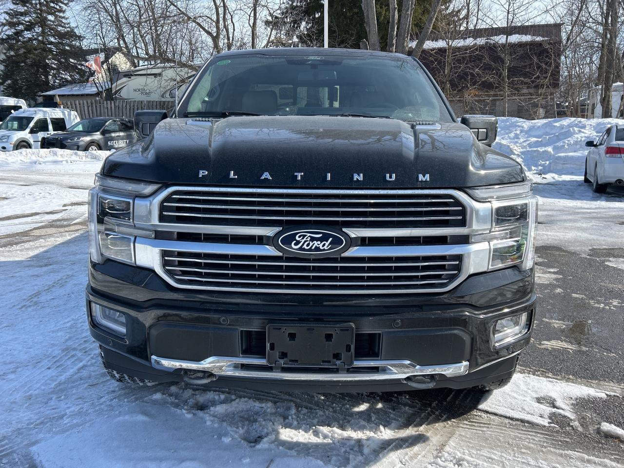 2025 Ford F-150 Platinum 4WD SuperCrew 5.5' Box Photo1