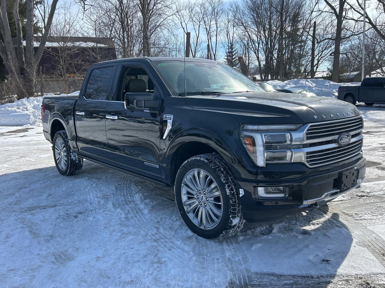 2025 Ford F-150 Platinum 4WD SuperCrew 5.5' Box Photo2