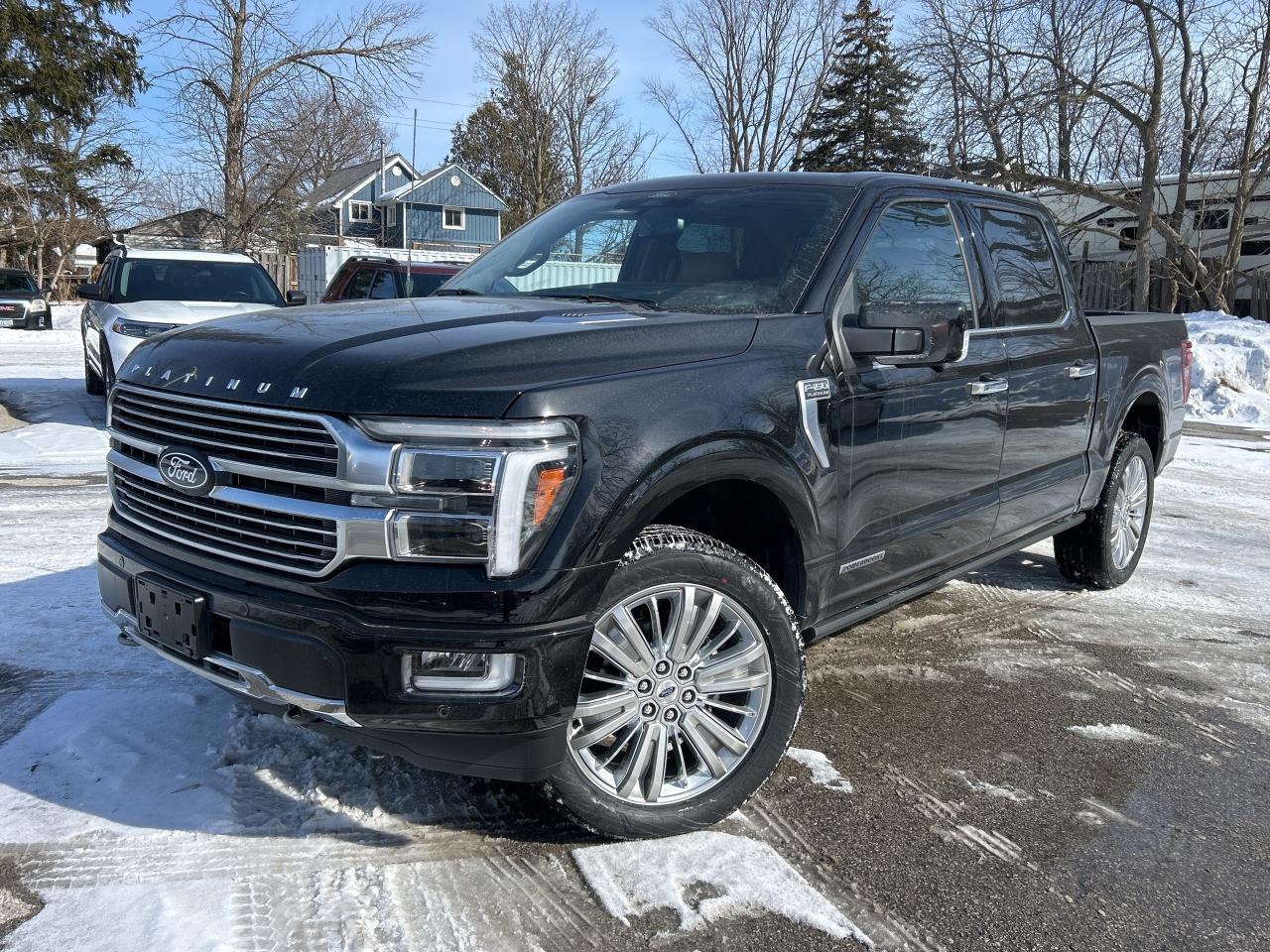 2025 Ford F-150 Platinum 4WD SuperCrew 5.5' Box Photo0