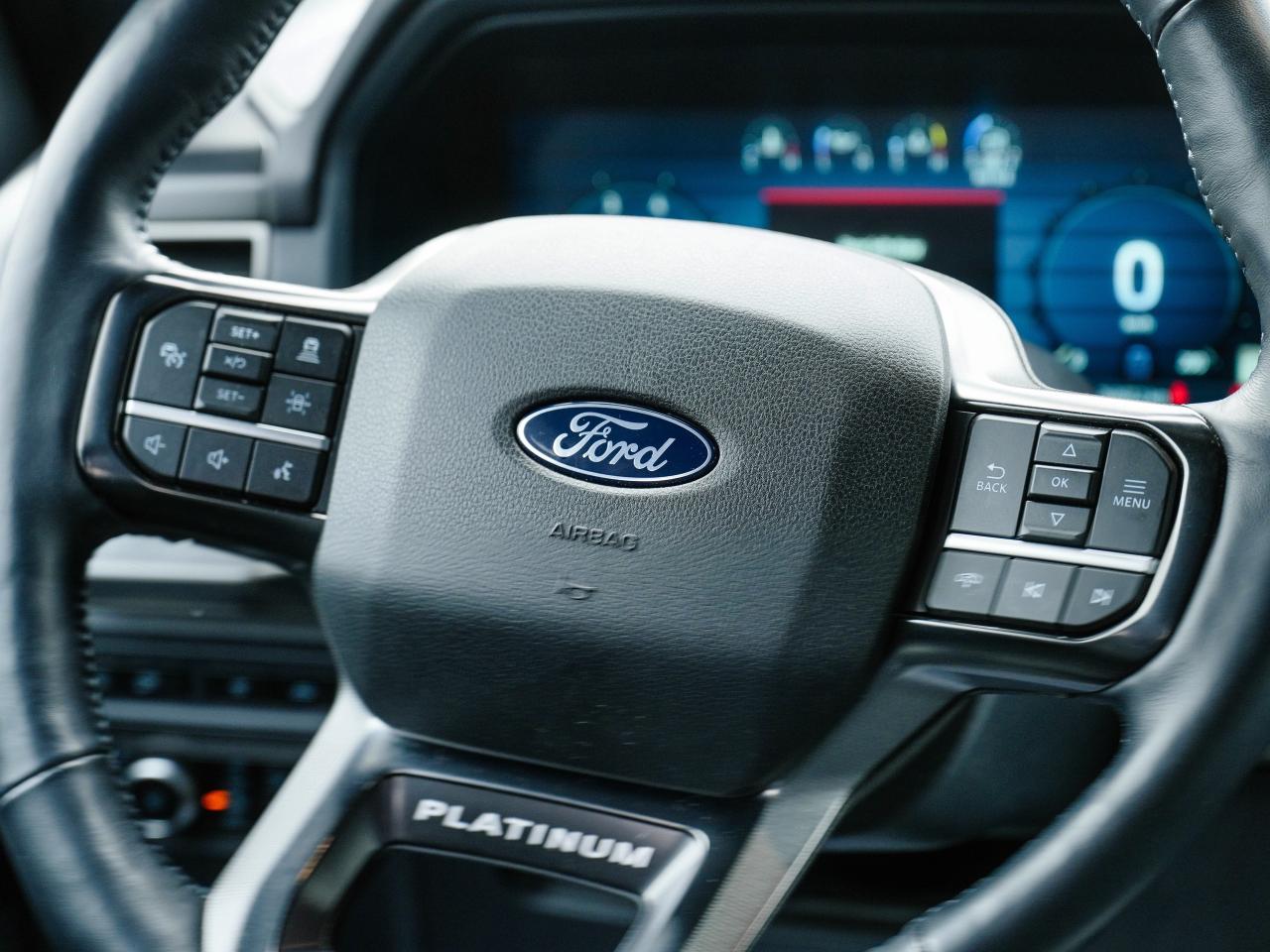 2024 Ford F-150 Platinum | LEATHER | PANO ROOM | NAVI | 4X4 Photo