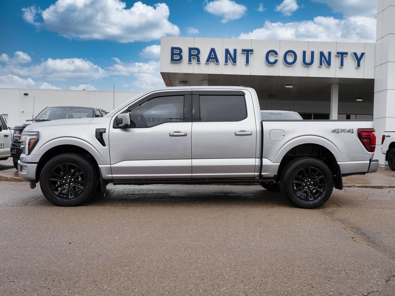 2024 Ford F-150 Platinum | LEATHER | PANO ROOM | NAVI | 4X4 Photo