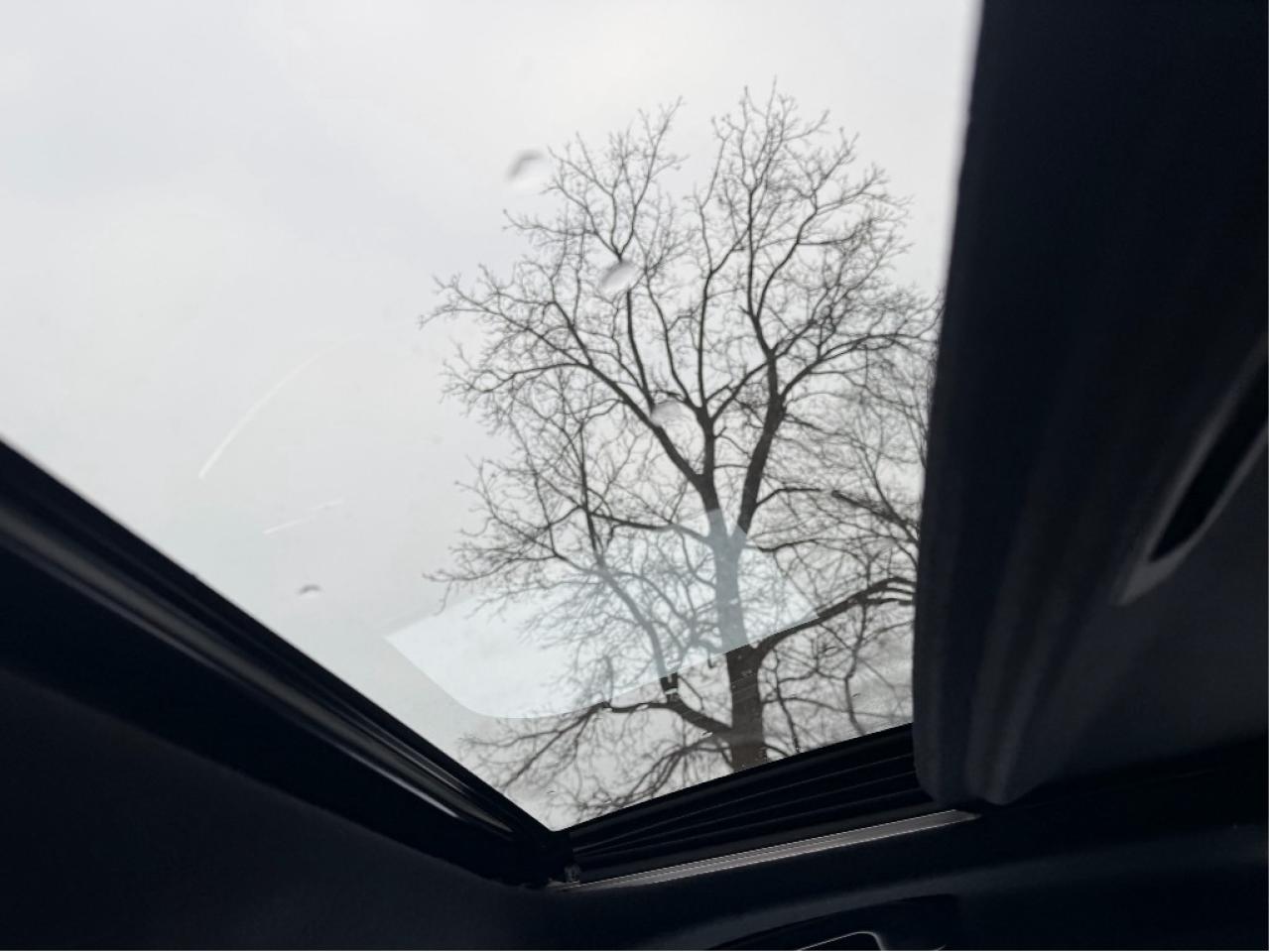 2023 Toyota Corolla SE | One Owner | Clean CARFAX Photo