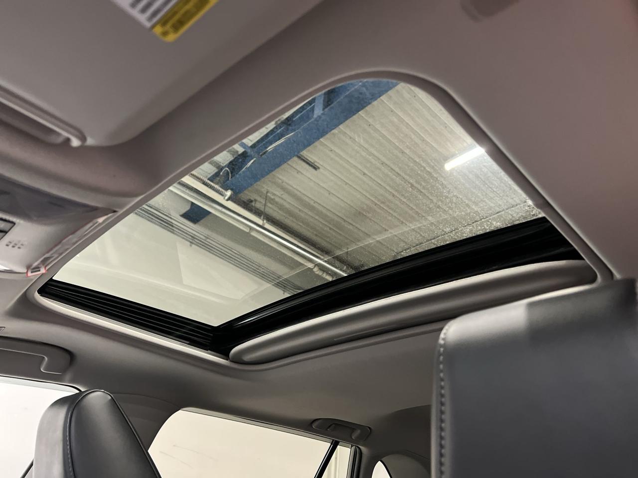 2023 Toyota RAV4 LIMITED AWD | COOLED LEATHER | SUNROOF | 360 CAM Photo