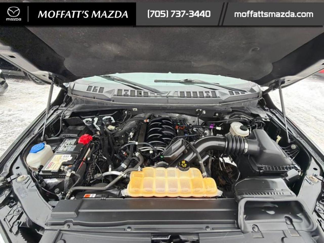 2018 Ford F-150 XLT Photo