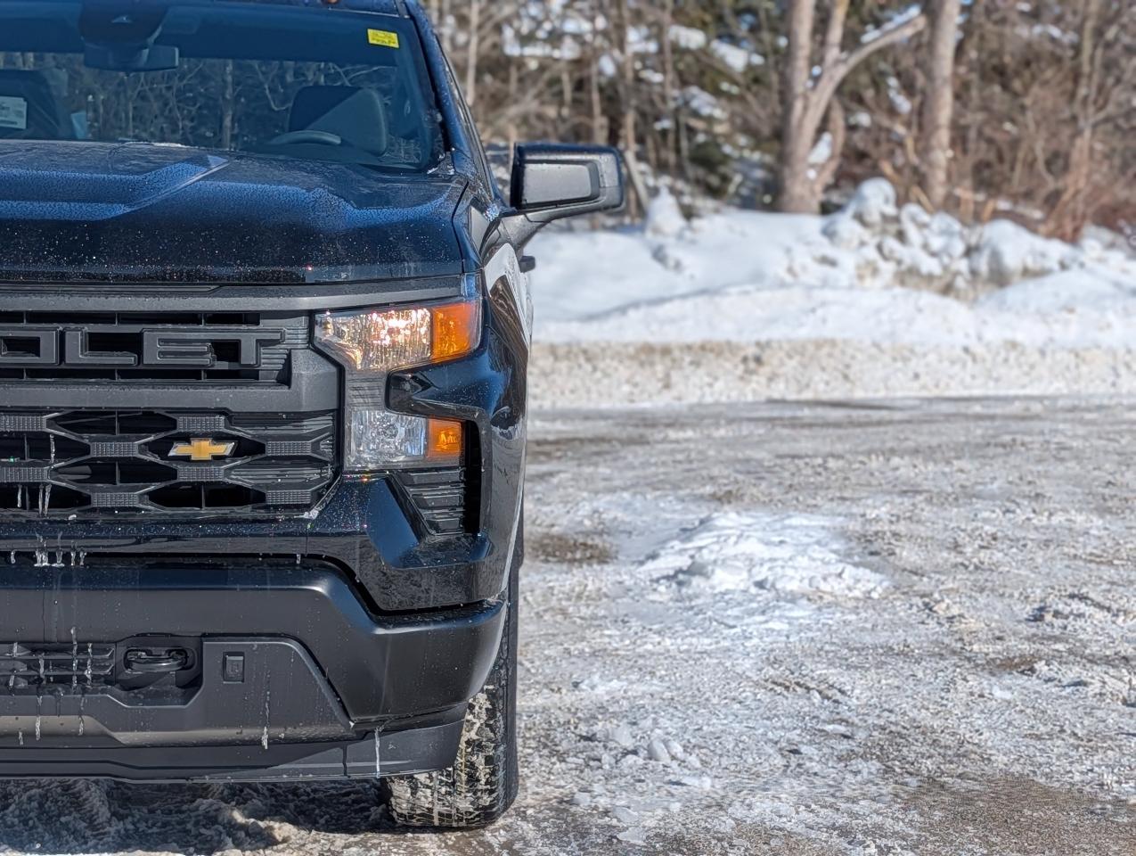 2026 Chevrolet Silverado 1500 Work Truck Photo