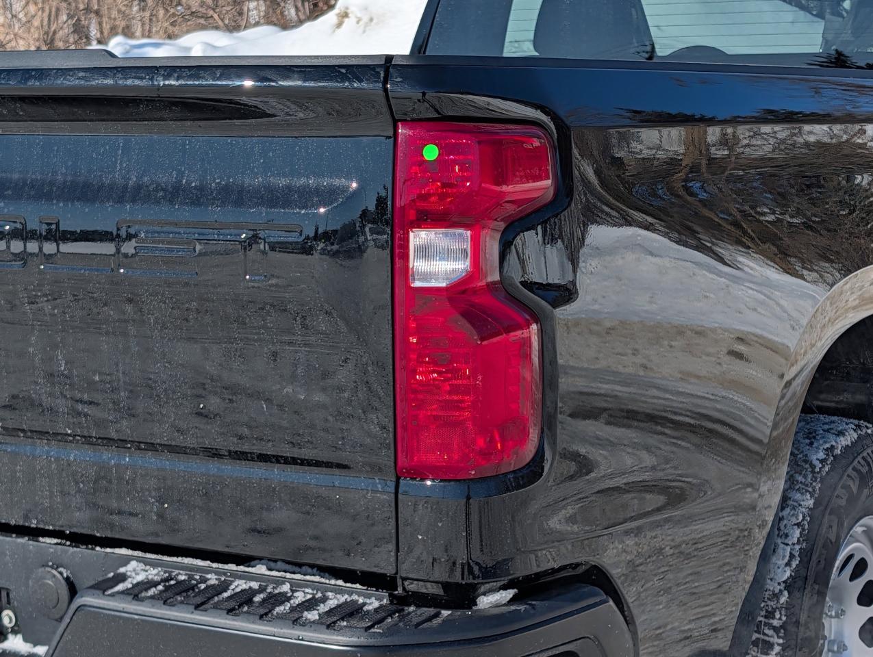 2026 Chevrolet Silverado 1500 Work Truck Photo