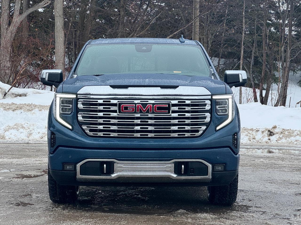 2026 GMC Sierra 1500 Denali Photo4