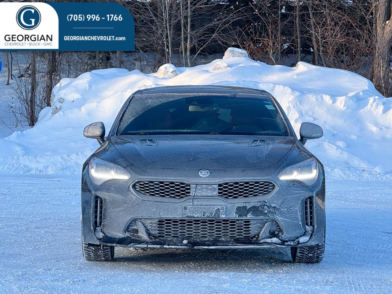 2019 Kia Stinger GT Limited Photo