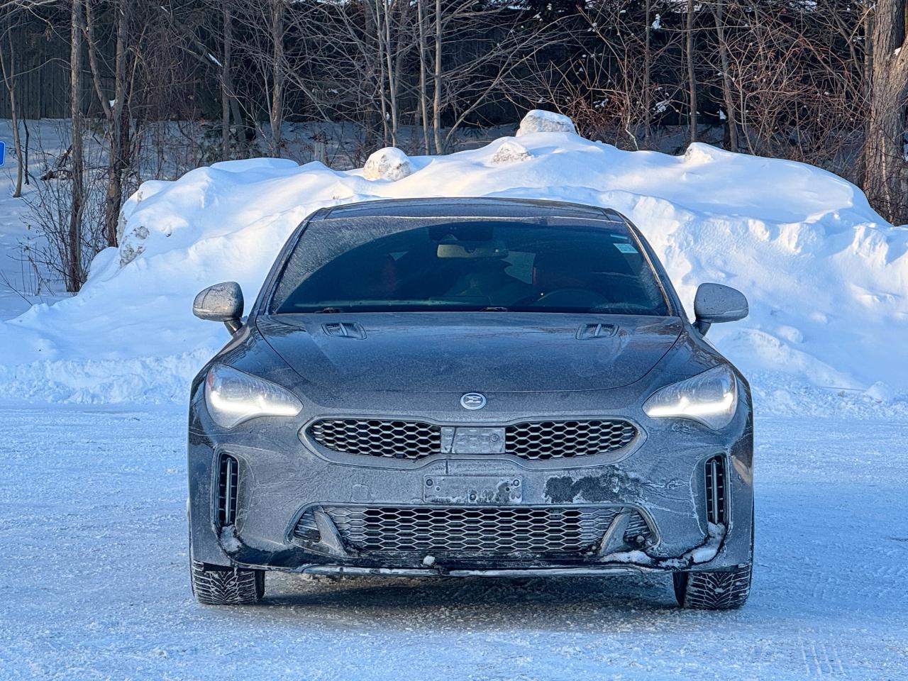 2019 Kia Stinger GT Limited Photo