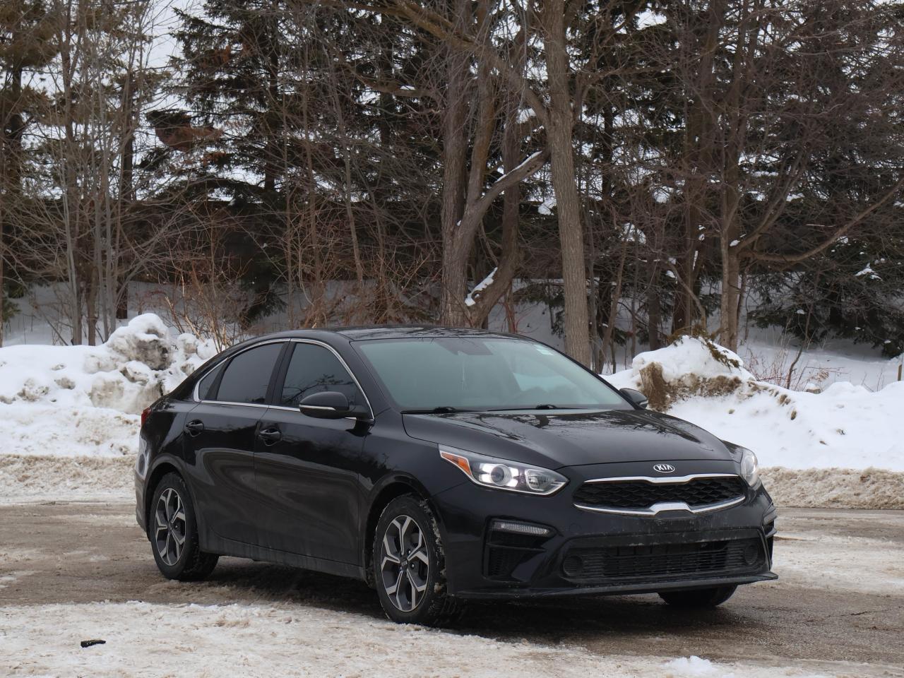 2020 Kia Forte EX Photo3