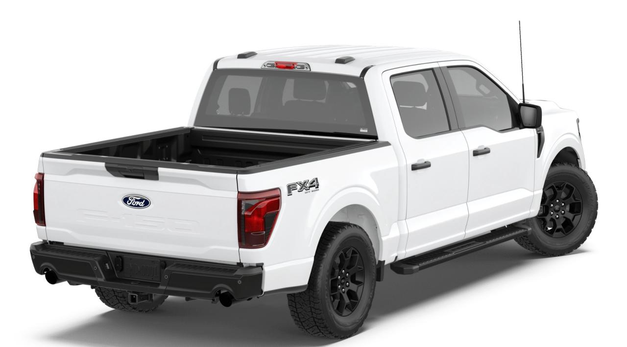 2026 Ford F-150 STX® Photo