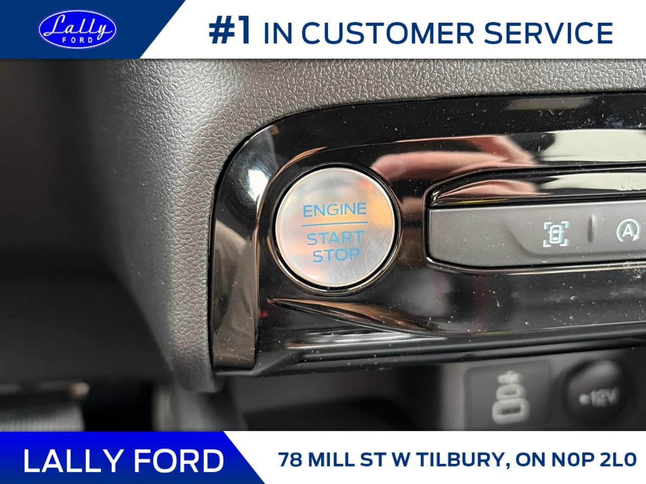 2026 Ford Escape ST-Line AWD Photo