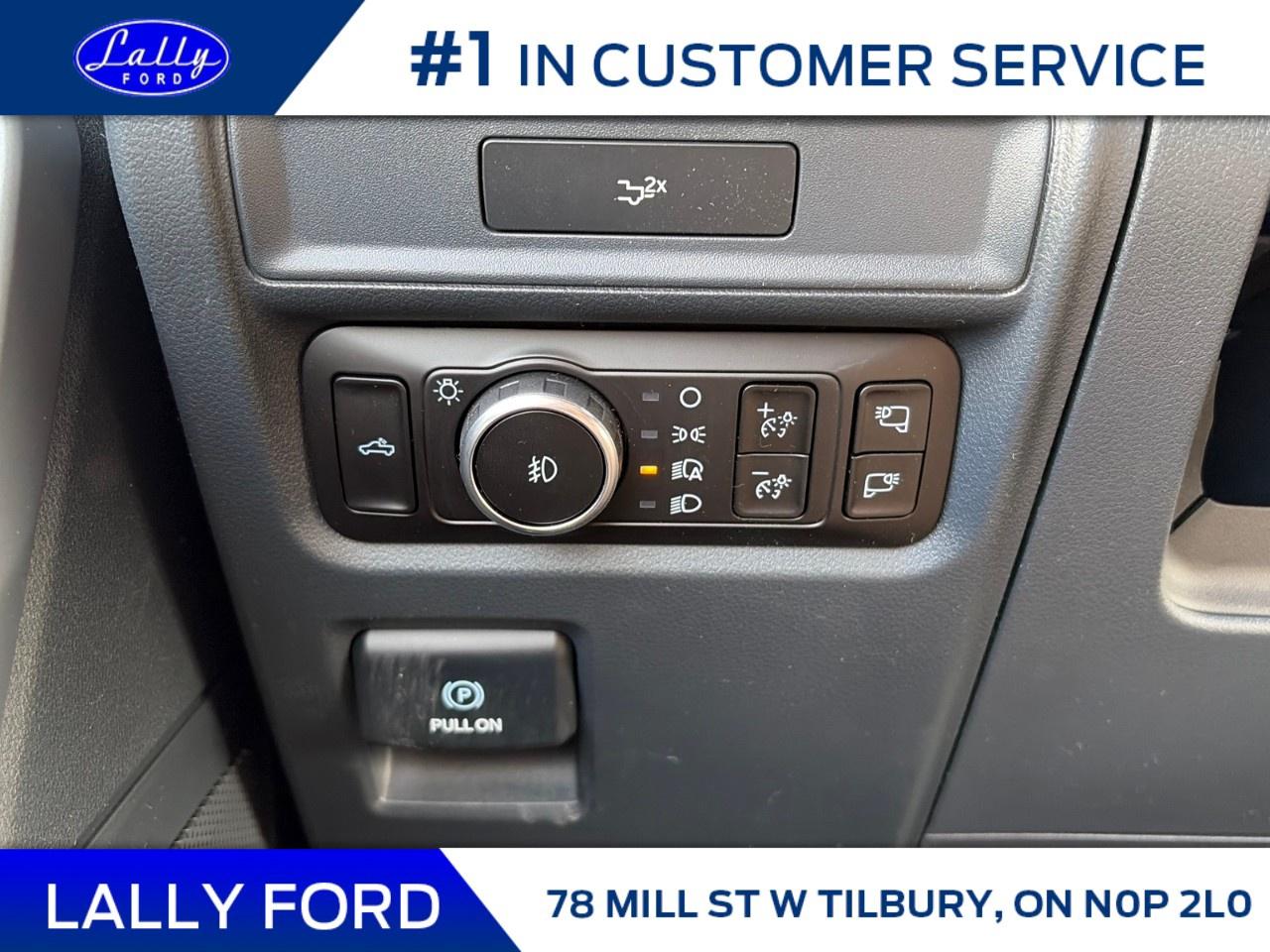 2026 Ford F-150 XLT 4WD SuperCrew 5.5' Box Photo