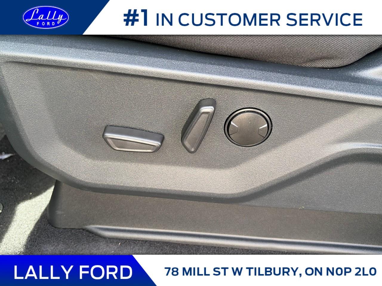 2026 Ford F-150 XLT 4WD SuperCrew 5.5' Box Photo