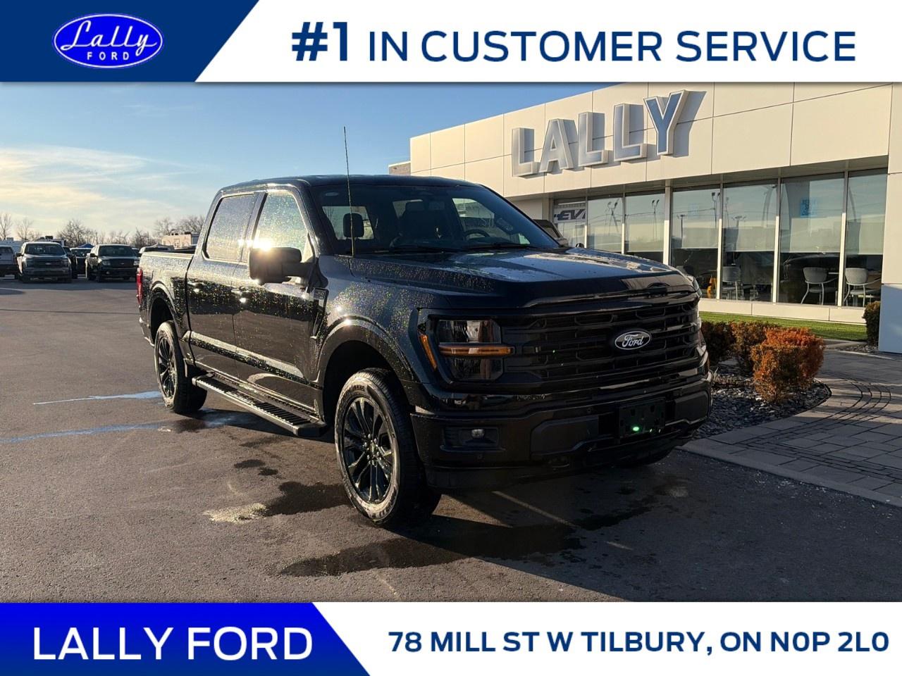 2026 Ford F-150 XLT 4WD SuperCrew 5.5' Box Photo0