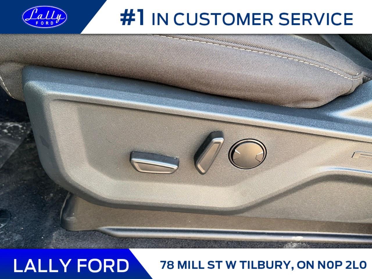 2026 Ford F-150 XLT 4WD SuperCrew 5.5' Box Photo