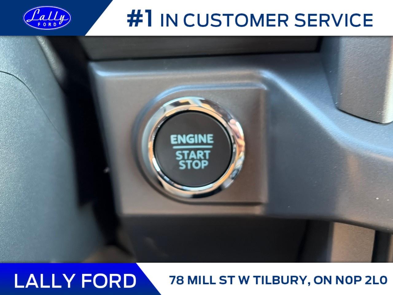 2026 Ford F-150 XLT 4WD SuperCrew 5.5' Box Photo