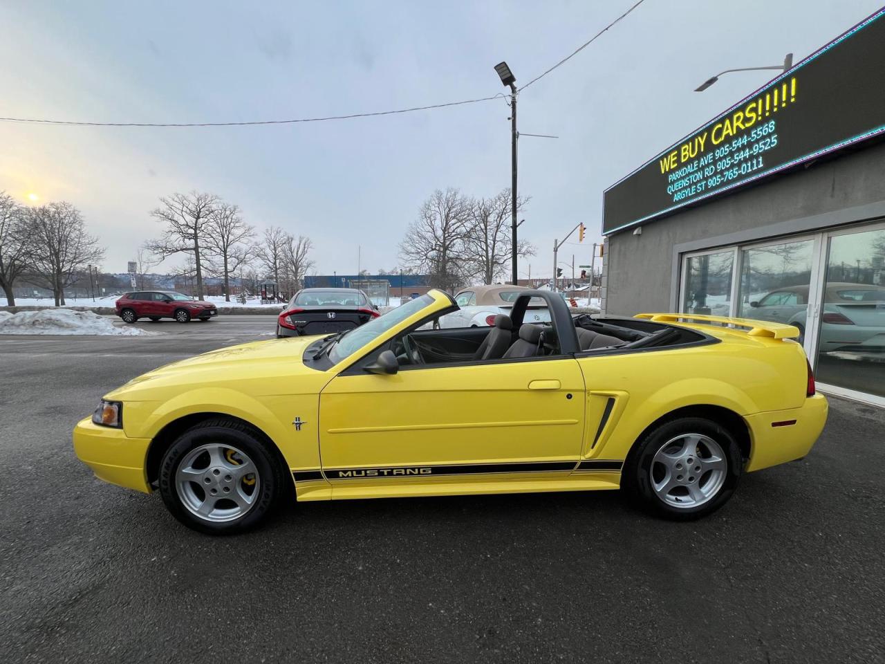 2002 Ford Mustang Deluxe Photo