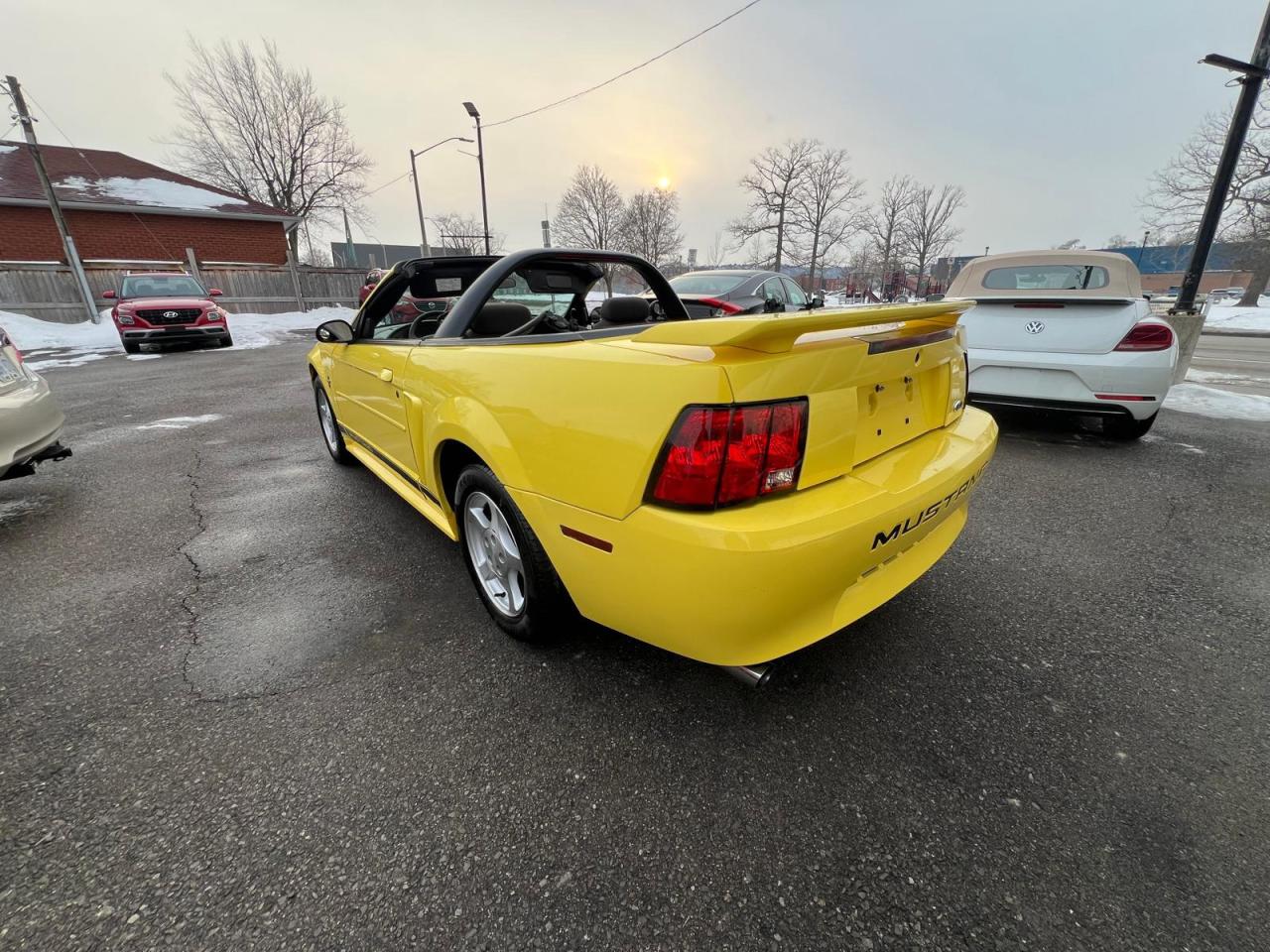 2002 Ford Mustang Deluxe Photo