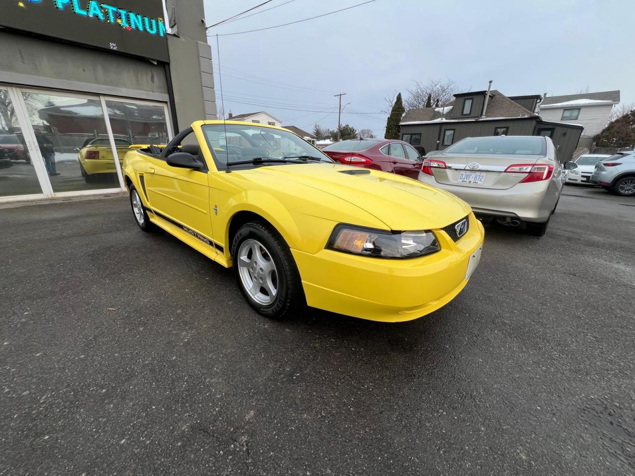 2002 Ford Mustang Deluxe Photo