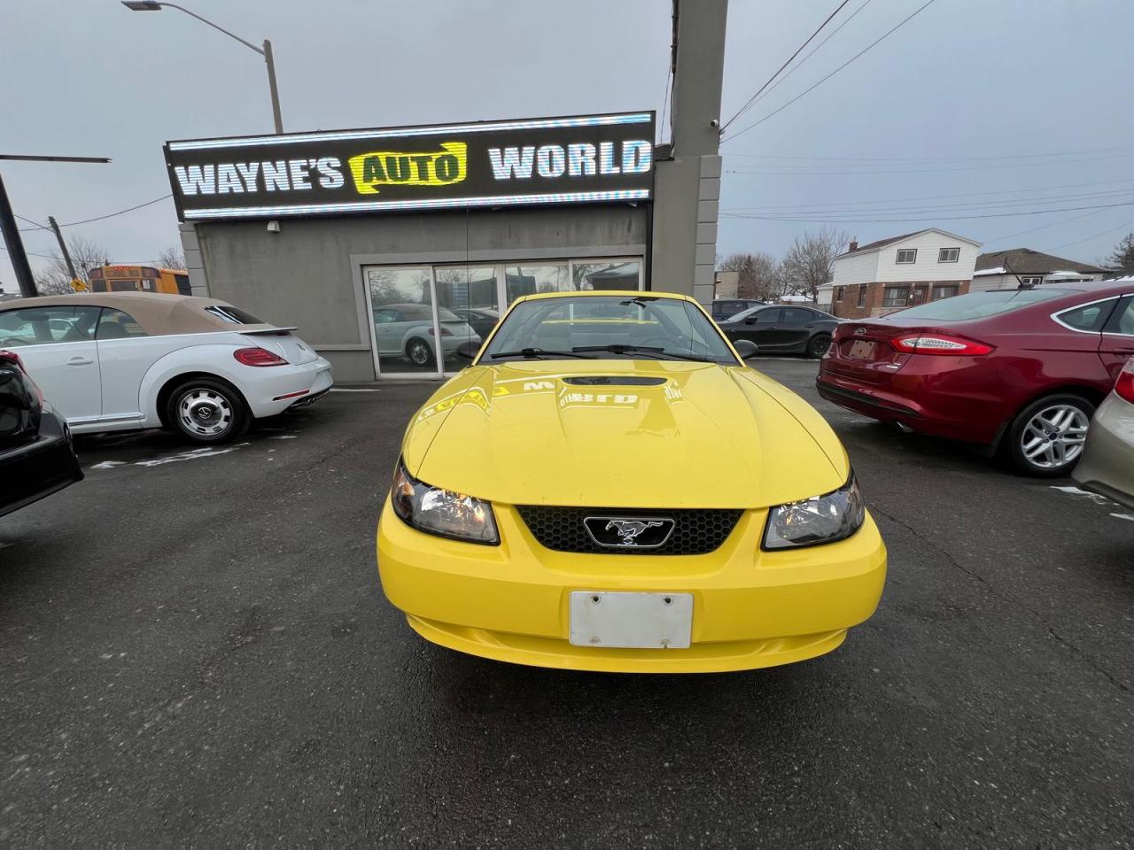 2002 Ford Mustang Deluxe Photo