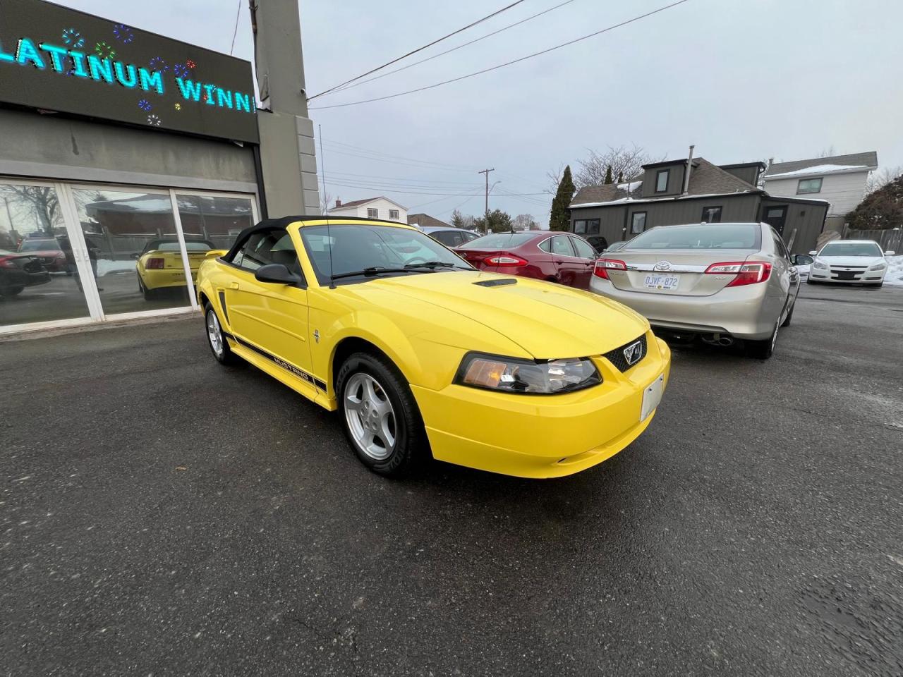 2002 Ford Mustang Deluxe Photo