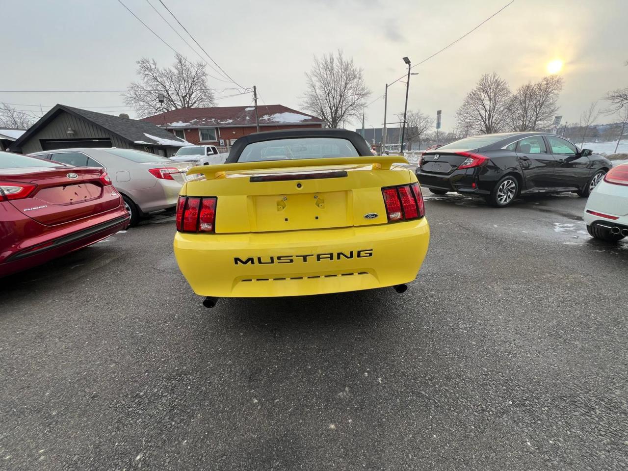 2002 Ford Mustang Deluxe Photo