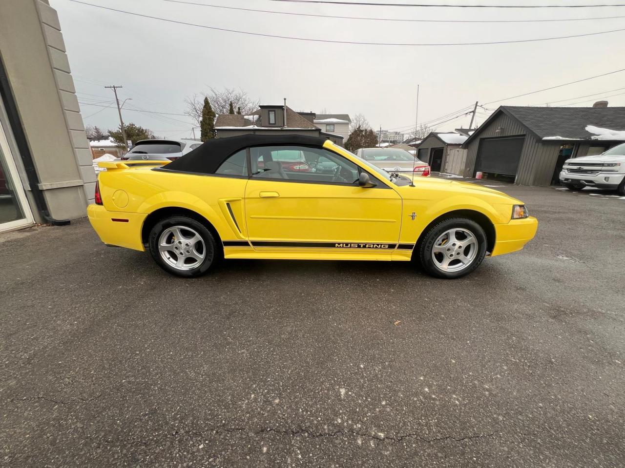 2002 Ford Mustang Deluxe Photo