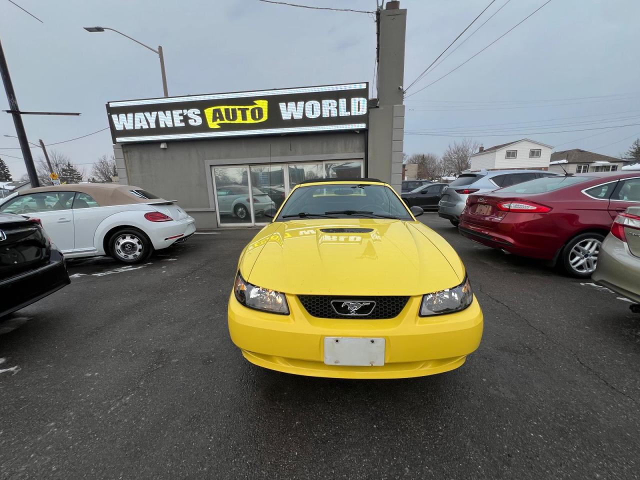 2002 Ford Mustang Deluxe Photo