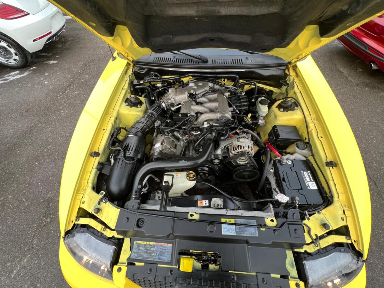 2002 Ford Mustang Deluxe Photo