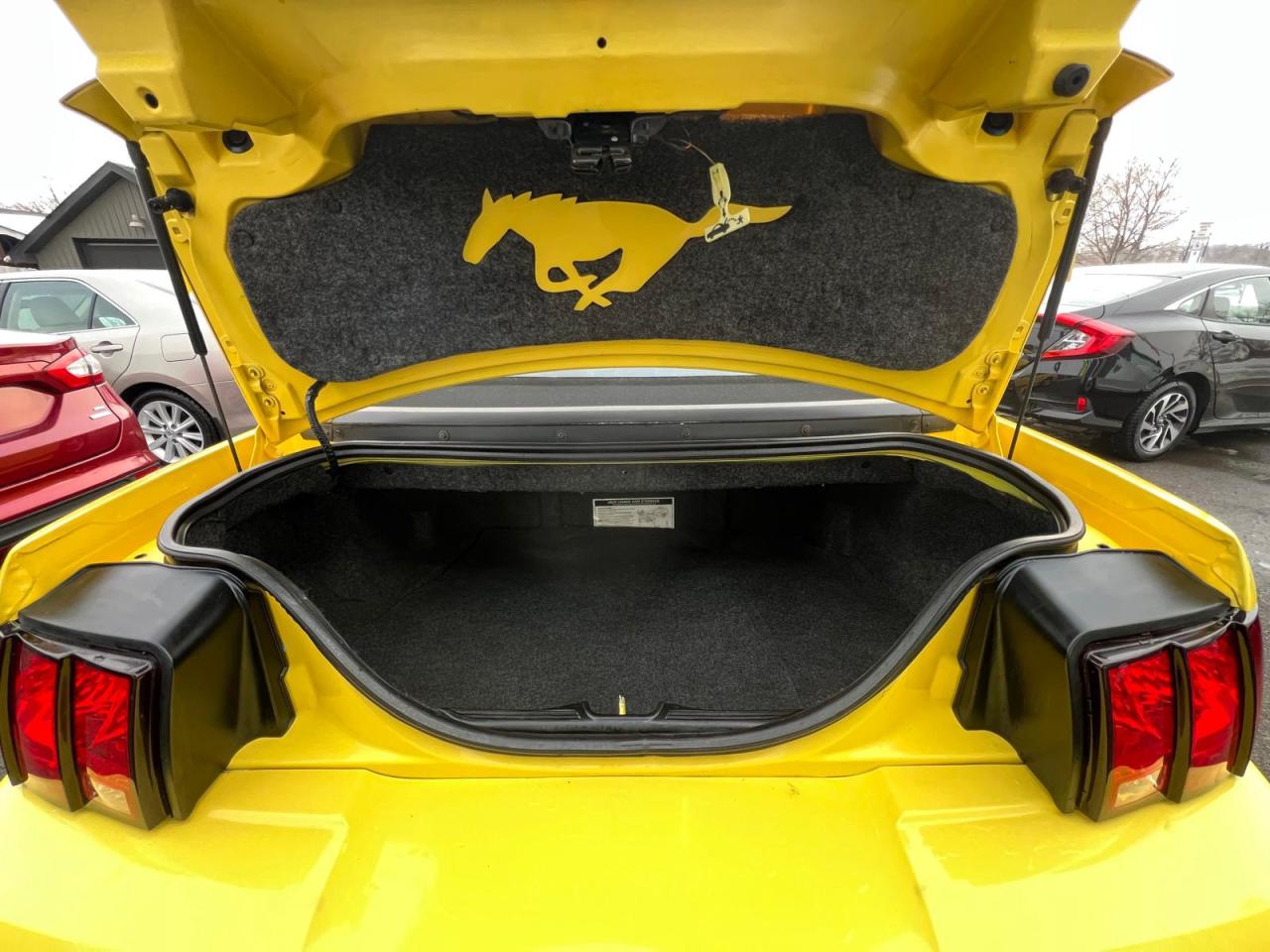 2002 Ford Mustang Deluxe Photo