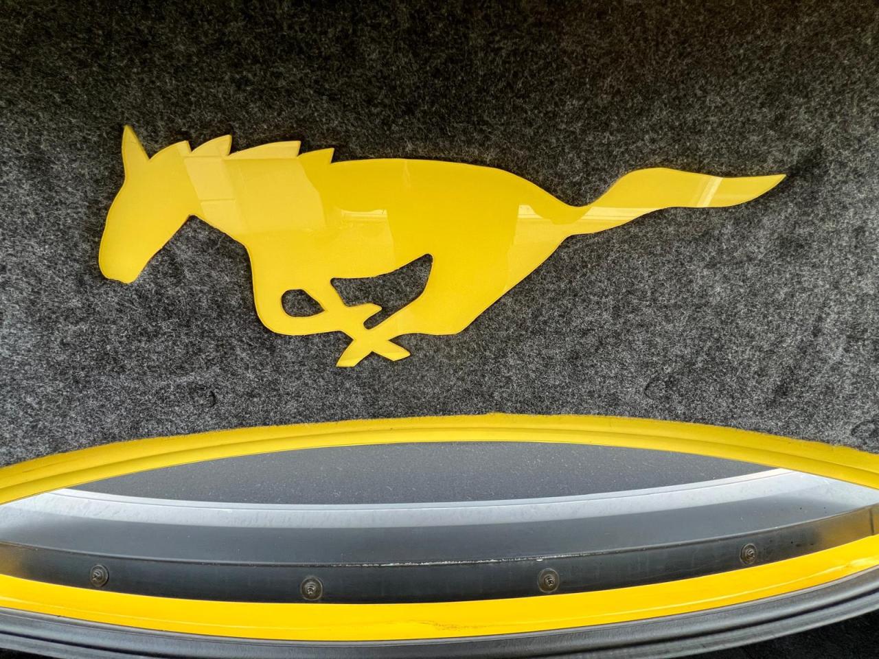 2002 Ford Mustang Deluxe Photo