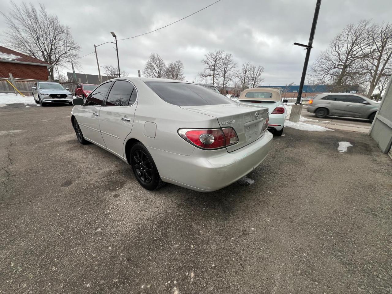 2004 Lexus ES 330 Photo
