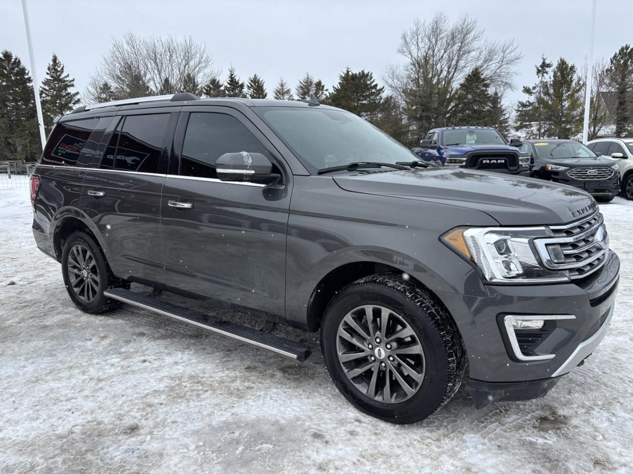 2019 Ford Expedition Limited 4WD Photo